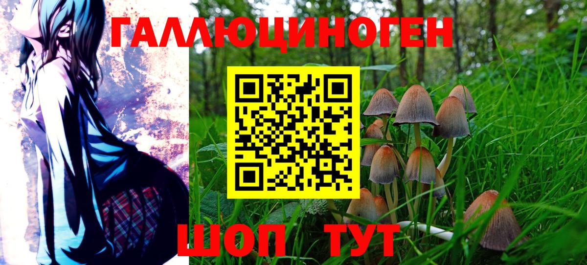 Галлюциногенные грибы Cubensis Вичуга